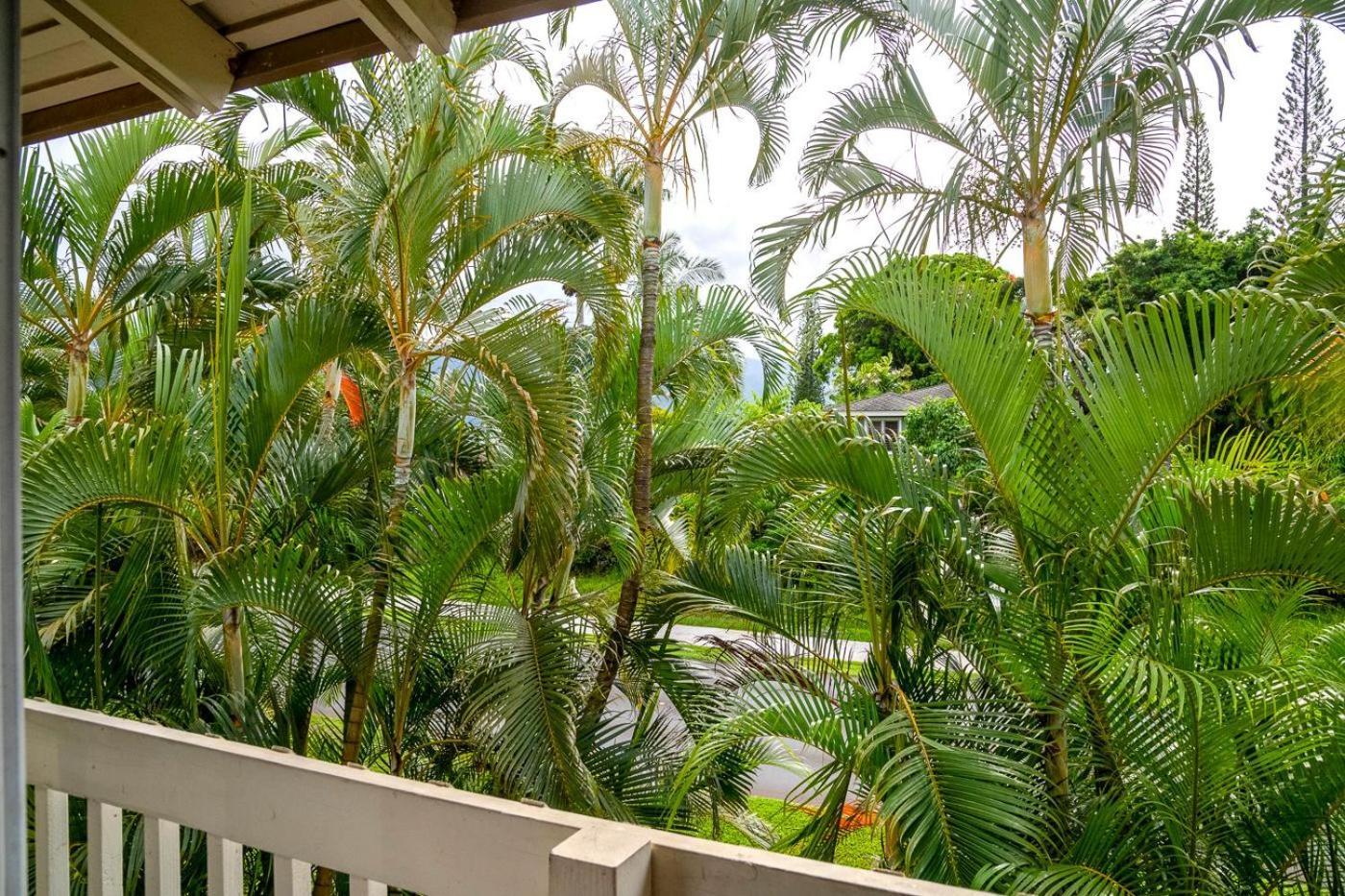 Paniolo 204B Apartment Princeville Bagian luar foto